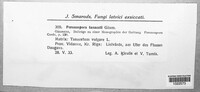 Image Associated With the Occurence